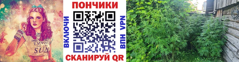 Купить наркотик аптеки Николаевск Кокаин Марихуана МЕФ МЕГА ONION ГАШ