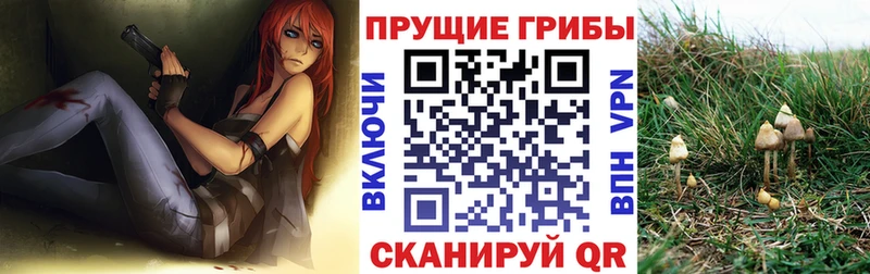 Псилоцибиновые грибы Magic Shrooms  цена   Николаевск 